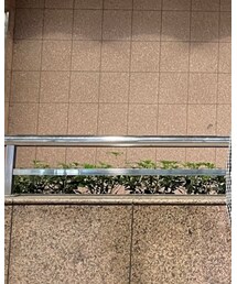 UNIQLO | トップス