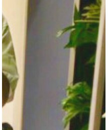 Marshall | その他雑貨