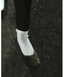 Kastane | バレエシューズ