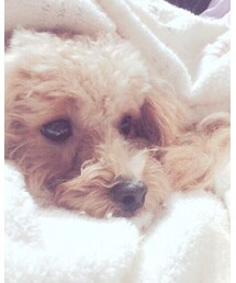 maron✳︎ | その他