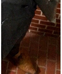 THE SUIT COMPANY | その他シューズ