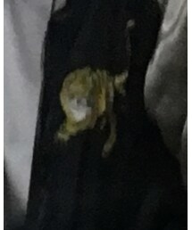 古着 | ジャケット/アウター