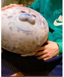 no brand | 雑貨/ホビー