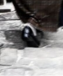 HARUTA | ローファー