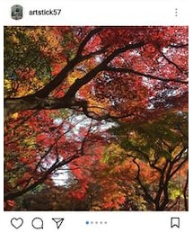 Instagram | その他