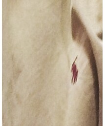 POLO RALPH LAUREN | シャツ/ブラウス
