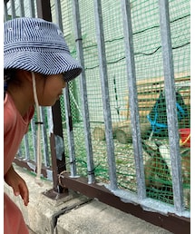 商店街にあるヤギ小屋🐐腰引けてる😂 | その他