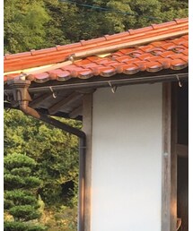 YAECA | Tシャツ/カットソー