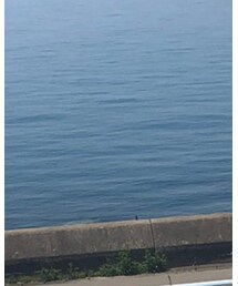 Graphpaper | トップス