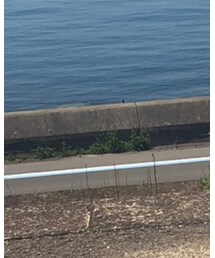 NEAT | スラックス