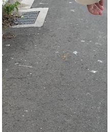 NEAT | スラックス