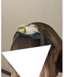 used | その他ヘアアクセサリー