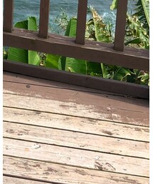 BIRKENSTOCK | サンダル