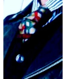 FENDI | ネクタイ(ストール/ショール)