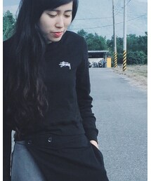 STUSSY | Tシャツ/カットソー