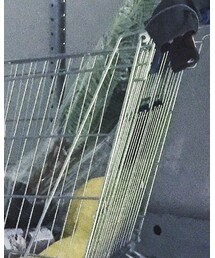 fearofgod | その他パンツ