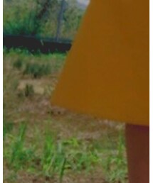 UNIQLO | スカート