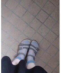 靴下屋 | ソックス/靴下