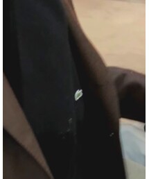 LACOSTE | マフラー