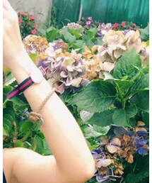 Daniel Wellington | アナログ腕時計