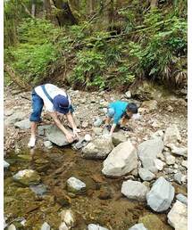 長男とカニ探し | その他
