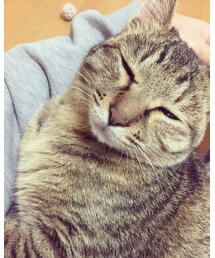 雨ちゃん | その他