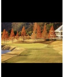 ウエストワンズCC | その他