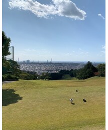 和歌山CC | 雑貨/ホビー