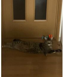 見られた💦ww | おもちゃ