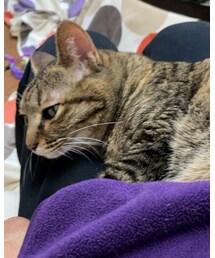 そろそろ…👾 | おもちゃ