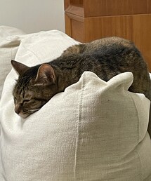 何だかなぁ〜💧 | おもちゃ