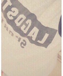 LACOSTE | Tシャツ/カットソー