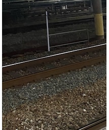 MADE IN USA | スウェット