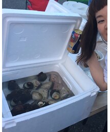 ハマグリサザエとプレモル | 食器