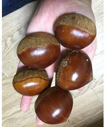 ビックリ🌰 | キッチンツール