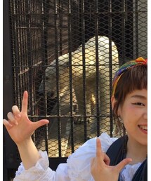 🐻🐻 | フィギュア