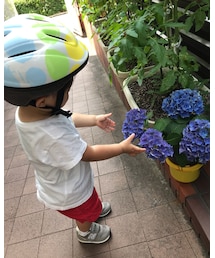 ☆ | その他