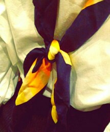 イブサンローラン | マフラー