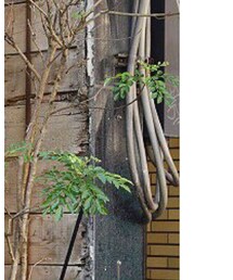 SALT＋JAPAN | ニット/セーター