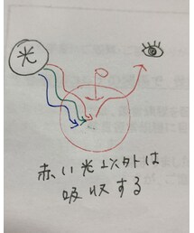 🍎が赤い理由 | その他
