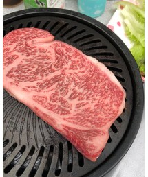 🐮 | その他