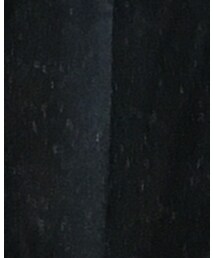 ALBINO | スカート