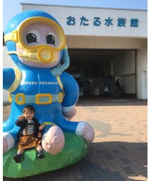 水族館🐟 | その他