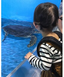 水族館🐢💕 | その他