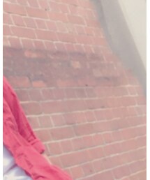 SASSAFRAS | Tシャツ/カットソー