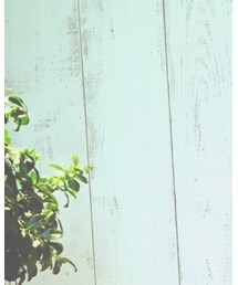 bukht | ニット/セーター