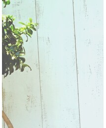 BRUNABOINNE | ブルゾン