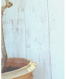 bukht | その他パンツ