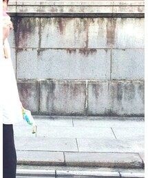 THEE | スラックス