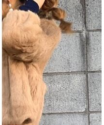 ROSE BUD | ジャケット/アウター